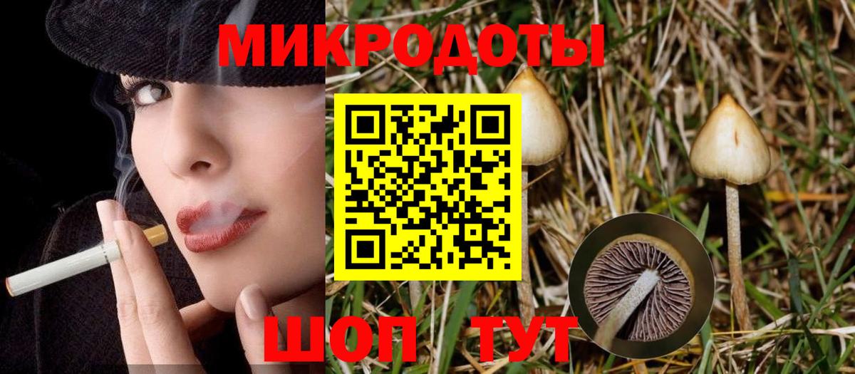 купить   Вход с VPN  Псилоцибиновые грибы MAGIC MUSHROOMS  Борзя  Галлюциногенные грибы MAGIC MUSHROOMS 